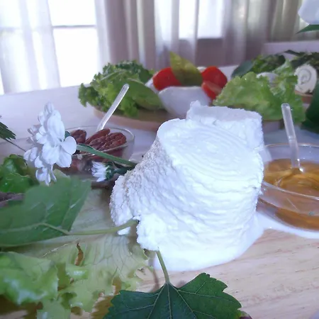 酒店 皮洛卡帕多瓦酒店 Selvazzano Dentro