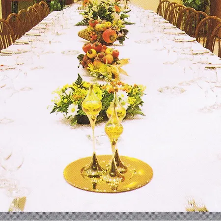 酒店 皮洛卡帕多瓦酒店 4*