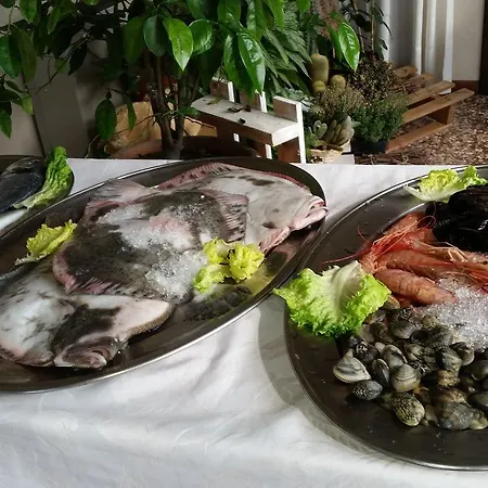 皮洛卡帕多瓦酒店 Selvazzano Dentro