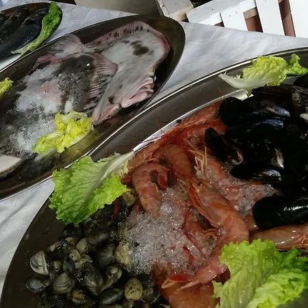 皮洛卡帕多瓦酒店 酒店 4*