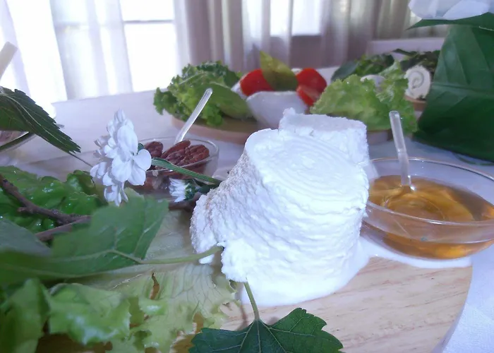 Hotel Piroga Padova Selvazzano Dentro