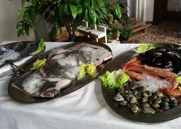 Piroga Padova Selvazzano Dentro