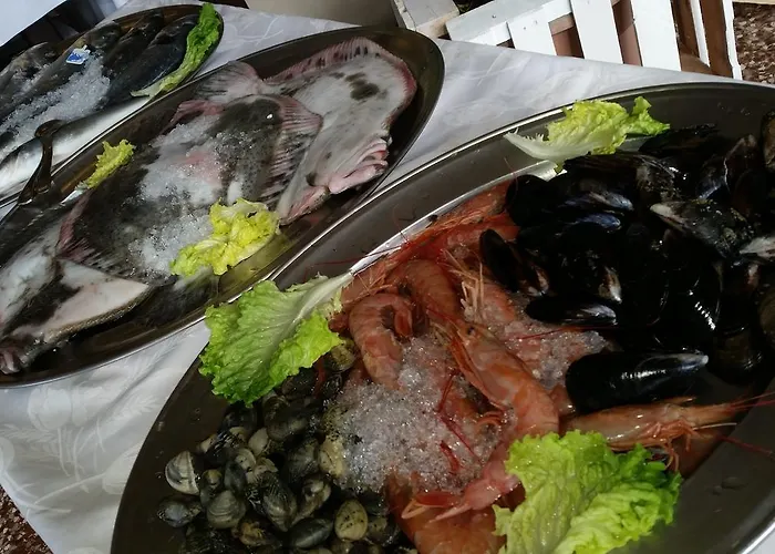 Piroga Padova Hotel 4*