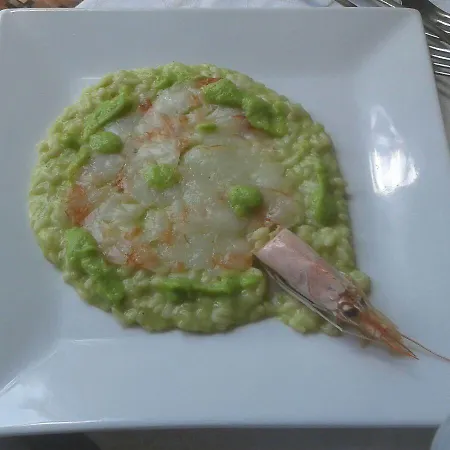 מלון Piroga Padova 4*