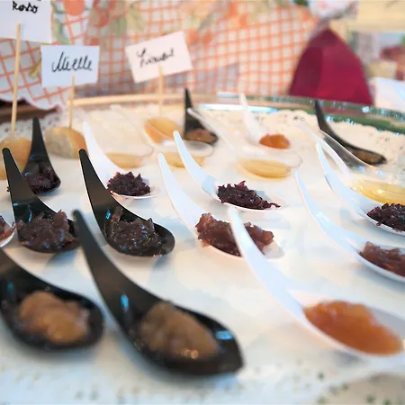 Piroga Padova 4* Selvazzano Dentro