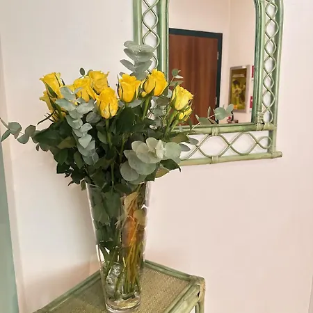 Piroga Padova 4* Selvazzano Dentro