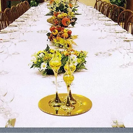 فندق Piroga Padova 4*
