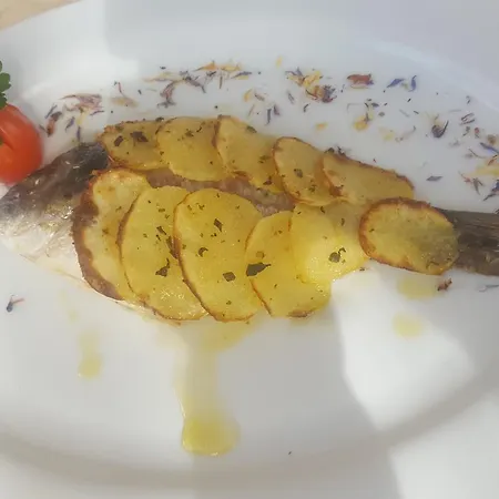 Piroga Padova