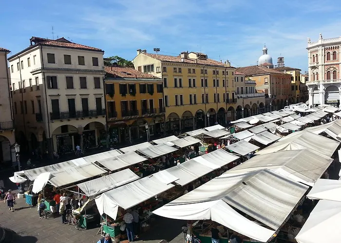 Piroga Padova Selvazzano Dentro